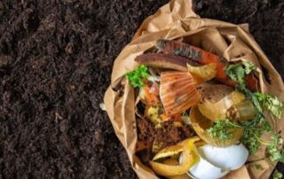 Organic kitchen waste in a paper compost bin.