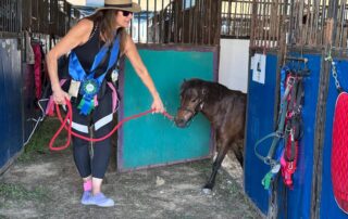 Woman leading a pony from stable.