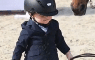 A young child in equestrian gear with a horse nearby.