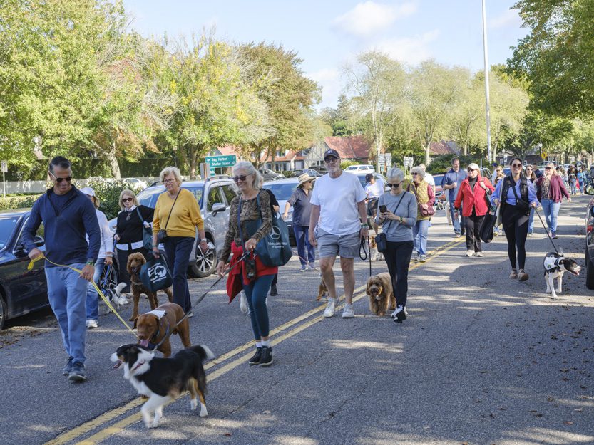 Group of people walking their dogs on a sunny day.